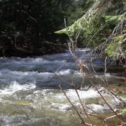 Herring Creek Trail - Libby