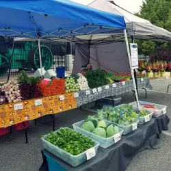 Missoula Farmers Market - Missoula