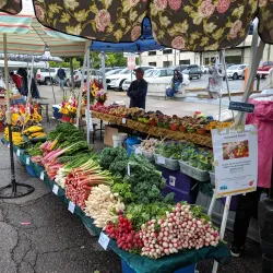 Missoula Farmers Market - Missoula