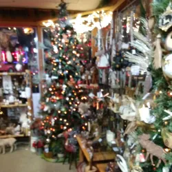 Missoula Farmers Market - Missoula