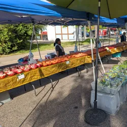 Missoula Farmers Market - Missoula