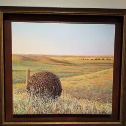 Montana Museum of Art & Culture - Missoula