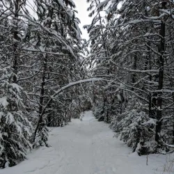 Rattlesnake National Recreation Area - Missoula