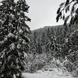 Rattlesnake National Recreation Area - Missoula