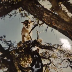 Rattlesnake National Recreation Area - Missoula