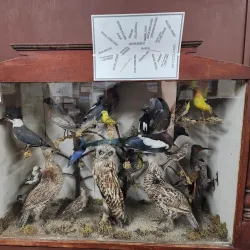 Broadwater State Park - Townsend