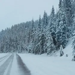 Elkhorn Hot Springs - Townsend