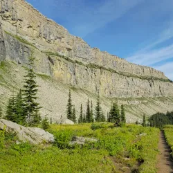 Helena National Forest - Townsend