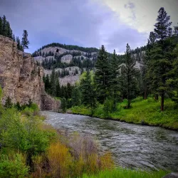 Helena National Forest - Townsend