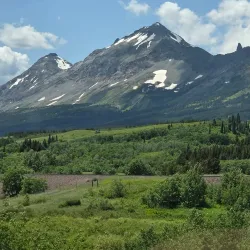Helena National Forest - Townsend