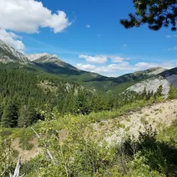 Helena National Forest - Townsend