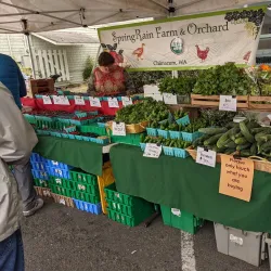 Townsend Farmers Market - Townsend