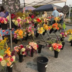 Townsend Farmers Market - Townsend