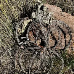 Bear Paw Battlefield - Zurich