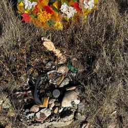 Bear Paw Battlefield - Zurich