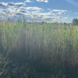 Fort Peck Lake - Zurich