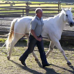 Local Ranch Tours - Zurich