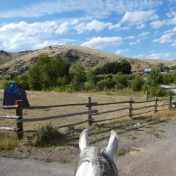 Local Ranch Tours - Zurich