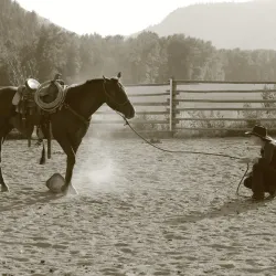 Local Ranch Tours - Zurich