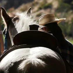 Local Ranch Tours - Zurich