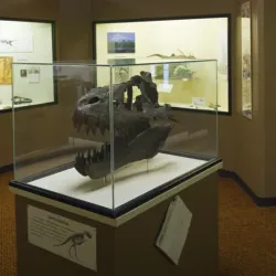 Zortman Community Museum - Zurich