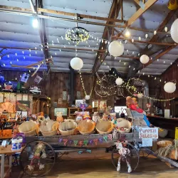 Bellevue Berry & Pumpkin Farm - Bellevue