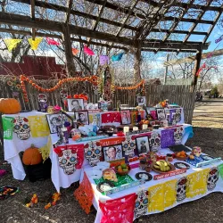 Bellevue Berry & Pumpkin Farm - Bellevue