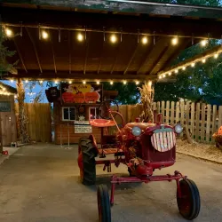 Bellevue Berry & Pumpkin Farm - Bellevue