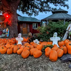 Bellevue Berry & Pumpkin Farm - Bellevue