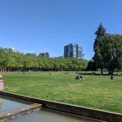 Bellevue Downtown Park - Bellevue