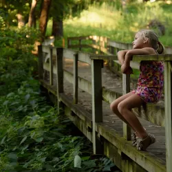 Fontenelle Forest - Bellevue