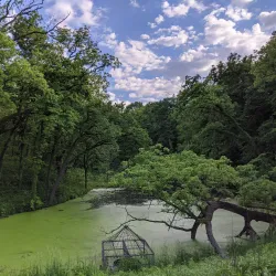 Fontenelle Forest - Bellevue