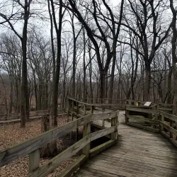 Fontenelle Forest - Bellevue