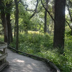Fontenelle Forest - Bellevue