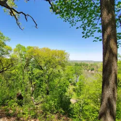 Fontenelle Forest - Bellevue