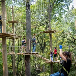 Fontenelle Forest - Bellevue