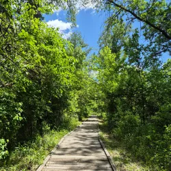 Fontenelle Forest - Bellevue