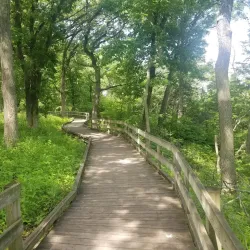 Fontenelle Forest - Bellevue