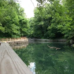 Schramm Park State Recreation Area - Bellevue