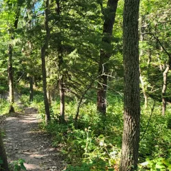 Schramm Park State Recreation Area - Bellevue