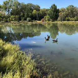 Schramm Park State Recreation Area - Bellevue