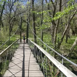 Schramm Park State Recreation Area - Bellevue