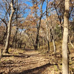 Schramm Park State Recreation Area - Bellevue