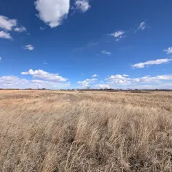 Crane Trust Nature & Visitor Center - Grand Island