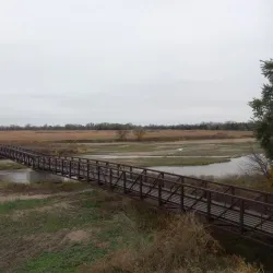 Crane Trust Nature & Visitor Center - Grand Island