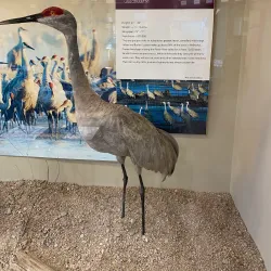 Crane Trust Nature & Visitor Center - Grand Island