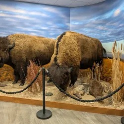 Crane Trust Nature & Visitor Center - Grand Island