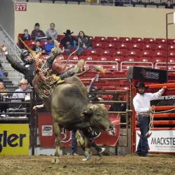 Heartland Events Center - Grand Island