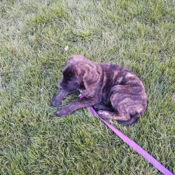 Centennial Park - Kearney