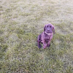 Centennial Park - Kearney